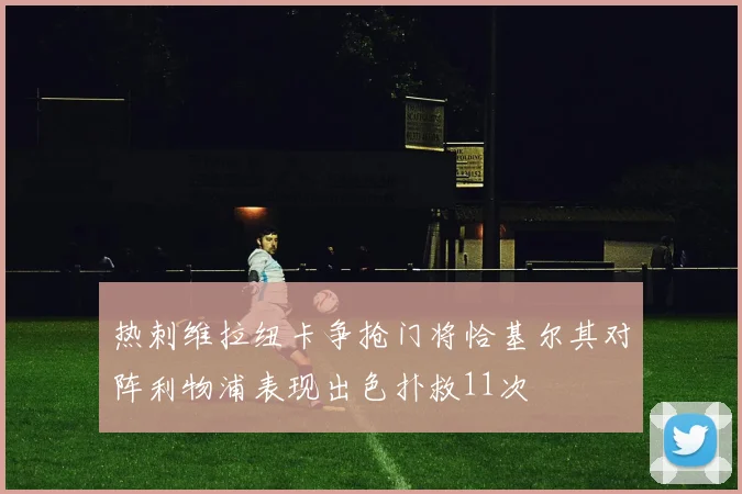 热刺维拉纽卡争抢门将恰基尔其对阵利物浦表现出色扑救11次