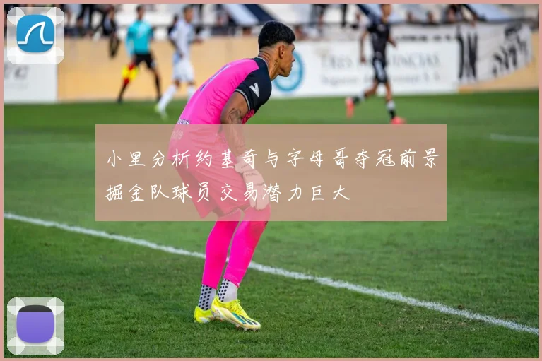 小里分析约基奇与字母哥夺冠前景掘金队球员交易潜力巨大