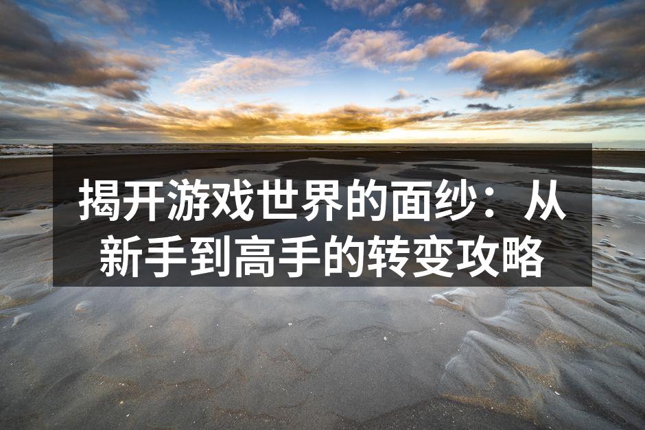 揭开游戏世界的面纱：从新手到高手的转变攻