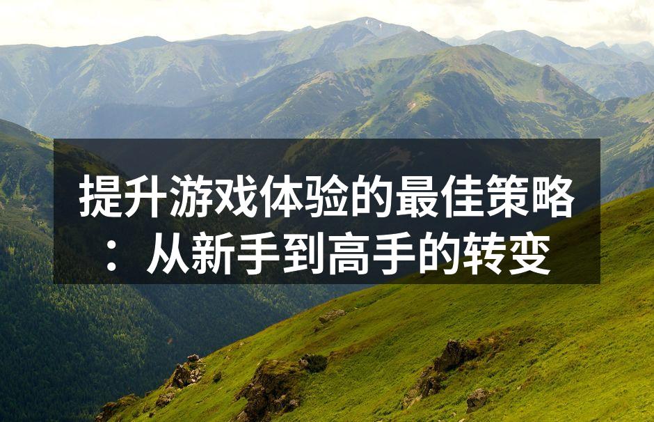 提升游戏体验的最佳策略：从新手到高手的转变