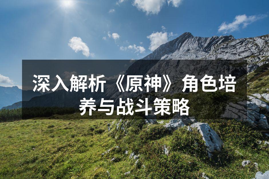深入解析《原神》角色培养与战斗策略